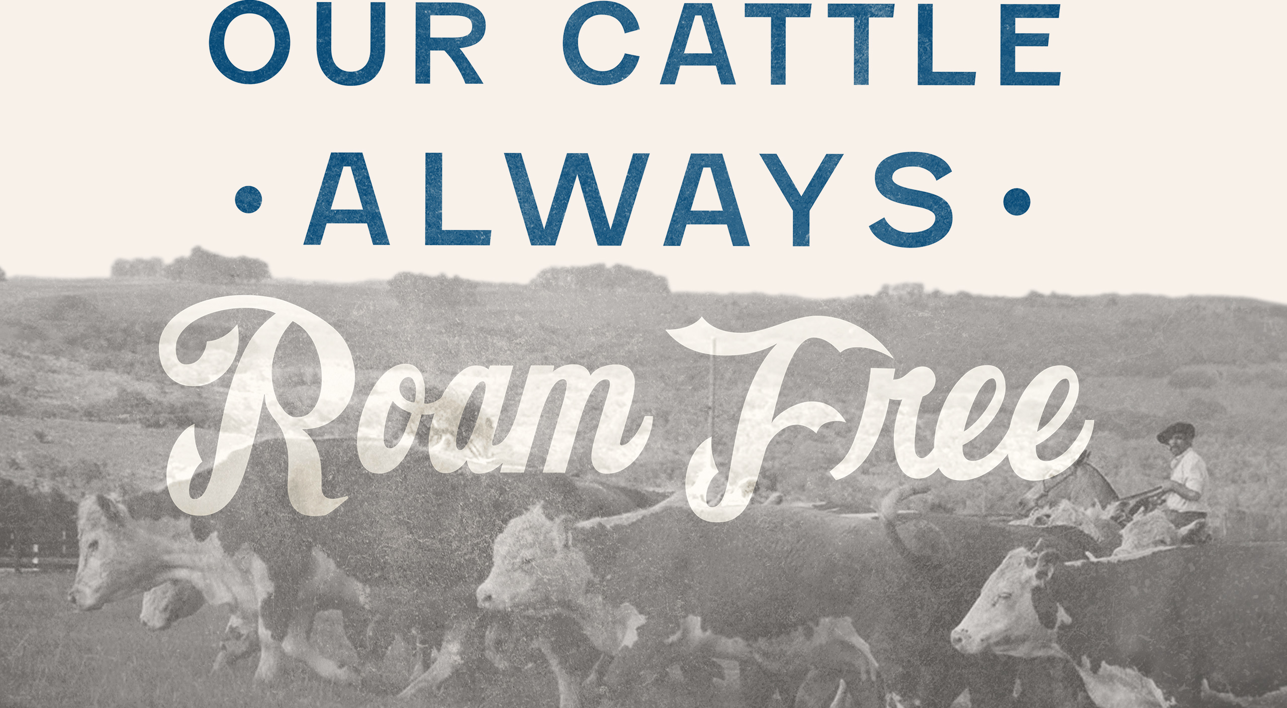 PTMK_W-Verde_Final-Flat_0010_9-Roam-Free-Type-