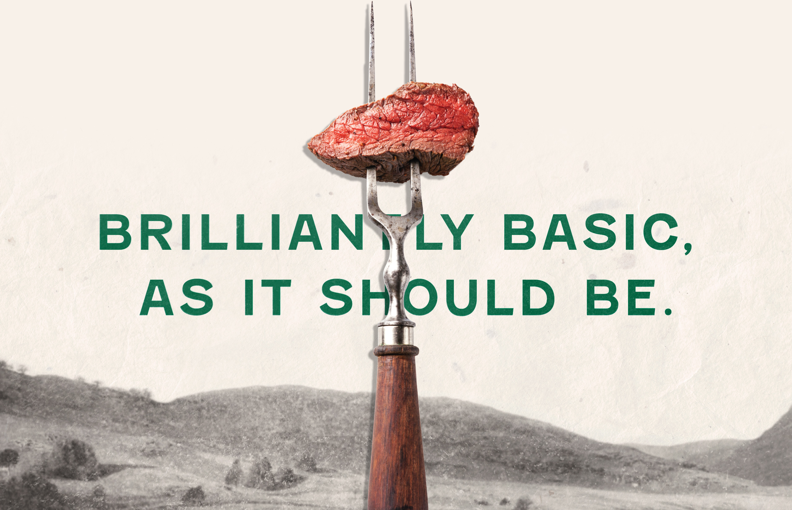 PTMK_W-Verde_Final-Flat_0019_15-Brilliantly-Basic-Type