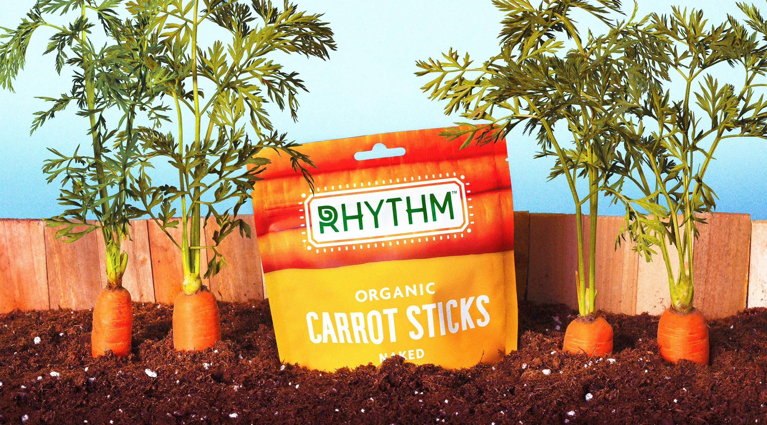 PTMK_W-Rhythm_Final_CarrotSoil