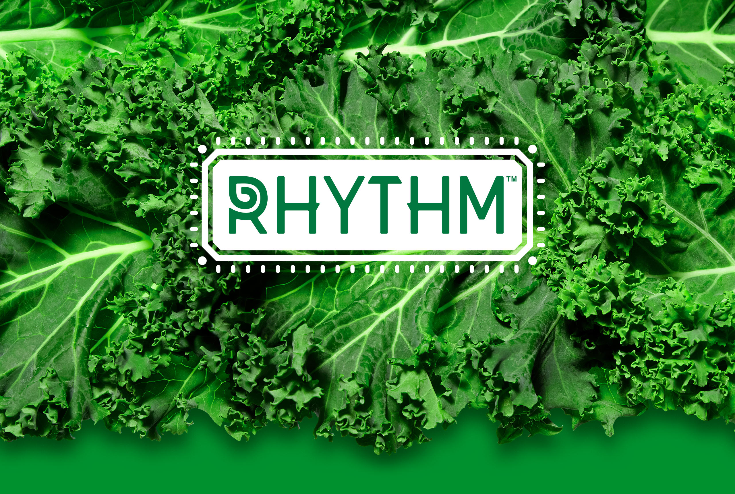 PTMK_W-Rhythm_Final_Header4