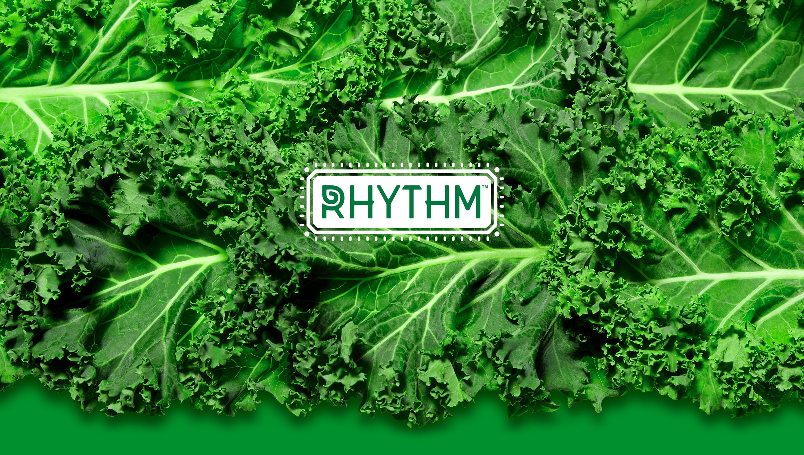 PTMK_W-Rhythm_Final_Header_Mobile4