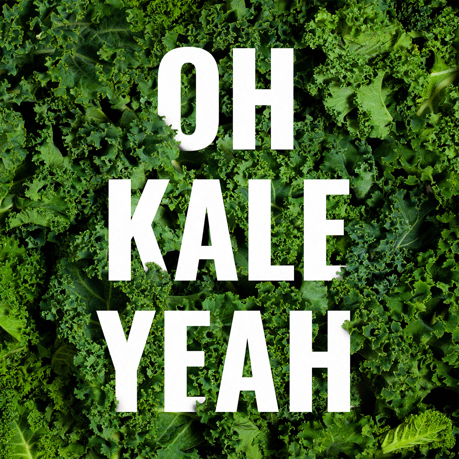 PTMK_W-Rhythm_Final_OhKaleYeah