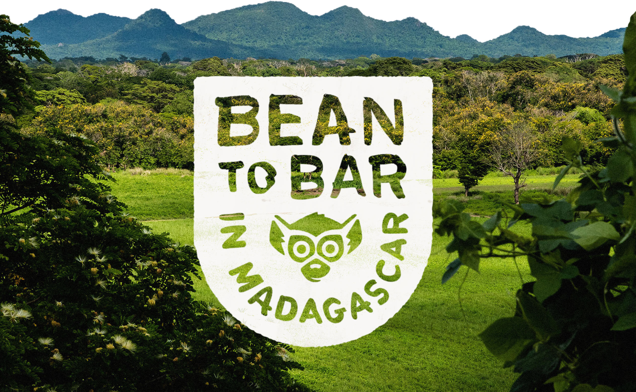 PTMK_Web_Madecasse_BeantoBar